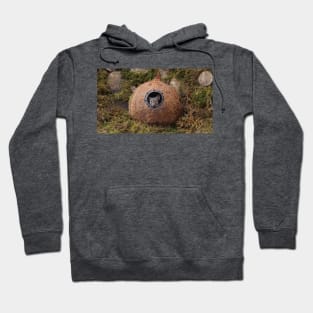 peek a boo mouse Hoodie